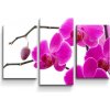 Sablio Obraz - 3-dílný Fialové Orchidey - 75x50 cm