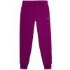 Pants 4F F606 W 4FWSS24TTROF606 51S (191540) XL