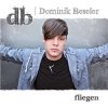 Dominik Beseler - Fliegen
