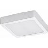 Rabalux SHAUN2 LED stropné svietidlo 71208