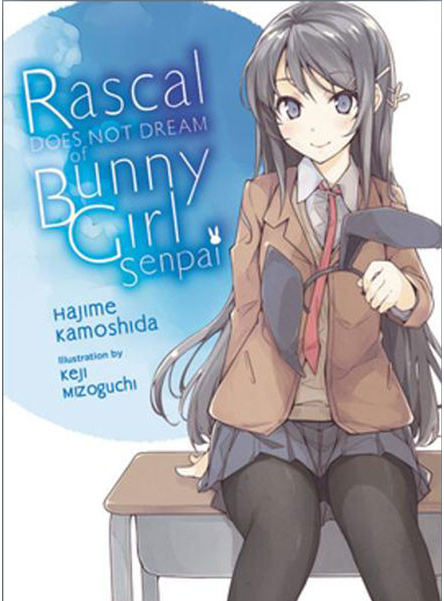 Rascal Does Not Dream of Bunny Girl-senpai, Vol. 1 light novel