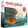 Albi Science Praveké akvárium