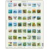 LARSEN Puzzle Zvířata severní polokoule (ZOO 1) 49 dílků