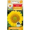 Okrasná slnečnica zakrpatená GREEN HOBBIT - 1g TORAF