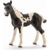 Schleich Farm Life Pinto Fohlen