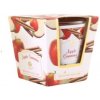 Arôme jablko a škorica 120 g