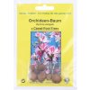TROPICA Orchideový strom - 8 zŕn