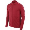 Nike Dry Park 18 Junior AA2071 657 football jersey