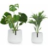 Fox & Fern Heusden, súprava 2 kvetináčov, polyston, vhodný na rastliny, ručná výroba, 3D vzhľad (PP-LINE-MW-SMSET)