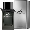 Burberry Mr. Burberry parfumovaná voda pánska 100 ml