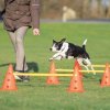 Trixie Dog Activity set prekážok S (3 ks)