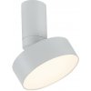 Rabalux 98071327 LED prisadené stropné svietidlo Ovidia | 16W integrovaný LED zdroj | 800lm | 3000K