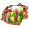 Fototapeta diera na stenu 3D Farebné tulipány 90x70 cm