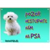 Pozorpes.sk, výstražná tabuľka (Maltezák, pozor zlý pes)