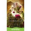 E-kniha Řetěz z trnů - Cassandra Clare