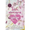 Tisíc zlomených kúskov - Tillie Cole