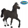 Papo Koń rasy arabskiej