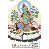 Zakusit esenci tantry (Rob Preece)