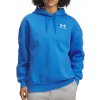 Under Armour UA Icon Fleece OS Hoodie 1379495-403