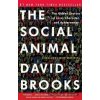 The Social Animal - David Brooks