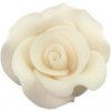 Ruža veľká L krémová