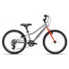 Bicykel CTM SLY 20 Matná Strieborná 2026 20