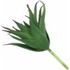 Umelá rastlina Aloe 13,5 cm