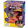 T-Rex Bzučákové bludiště