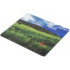 Natec Photo Mousepad ITALY 220x180mm NPF-1403