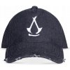Assassin Creed Shadows Acid Washed Logo