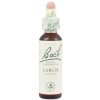 Larch - Smrekovec opadavý 20 ml - bachove kvapky