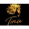 Various: Tina: The Tina Turner Musical - CD