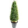 Vonkajší umelý strom Buxus, 130cm