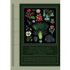 Botanical Inspiration - autor neuvedený