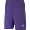 Puma teamRISE Short Prist