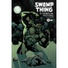 Swamp Thing by Len Wein and Kelley Jones: Deluxe Edition