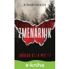 E-kniha Zmenárnik - Anders de la Motte