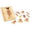 Bigjigs Toys Dřevěné puzzle Anatomie dívka