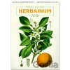 NOTIQUE Nástenný Vintage plagáty herbár 33 x 46 cm 2026