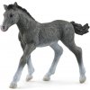 Schleich Animal - Trakehnerské žriebä