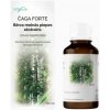 HealthNA Befungin forte - extrakt z čagy - 90 ml -