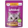 Whiskas s kuracím jelly 85 g