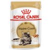 ROYAL CANIN MAINECOON 12x85 G