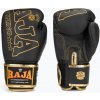 Boxerské rukavice RAJA BOXING Origin Standard Genuine Leather black
