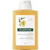 Klorane Šampón na suché a poškodené vlasy Mango (Nourishing Treatment Shampoo) 200 ml