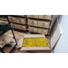 Stabilizovaný mach – sobí - lišajník – Reindeer moss - žľtý - celé balenie 5kg