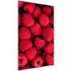 Vertikálny foto obraz akrylové sklo Maliny 50x100 cm