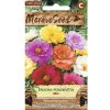 Portulaka plnokvetá zmes semien MoravoSeed