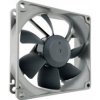 Noctua NF-R8 redux 1200