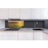 DIMEX | Dibond doska za kuchynskú linku | DBW-08040-145 Západ slnka na lúku| 80 x 40 cm + Dibond obkladová doska Dimex do kuchyne Západ slnka na lúkuv rozmere 80 x 40 cm + lepidlo zadarmo